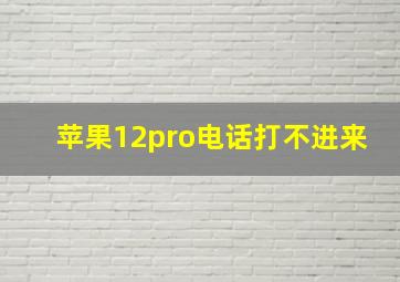 苹果12pro电话打不进来