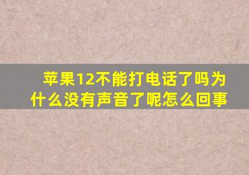 苹果12不能打电话了吗为什么没有声音了呢怎么回事