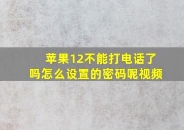 苹果12不能打电话了吗怎么设置的密码呢视频