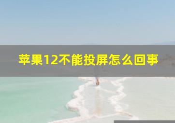 苹果12不能投屏怎么回事