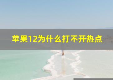 苹果12为什么打不开热点