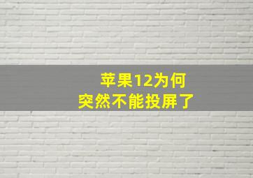 苹果12为何突然不能投屏了