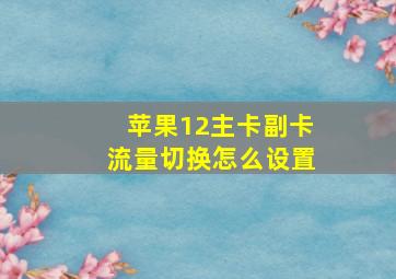 苹果12主卡副卡流量切换怎么设置