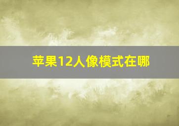 苹果12人像模式在哪