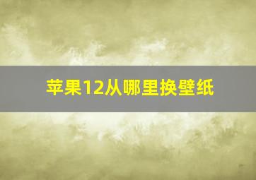 苹果12从哪里换壁纸