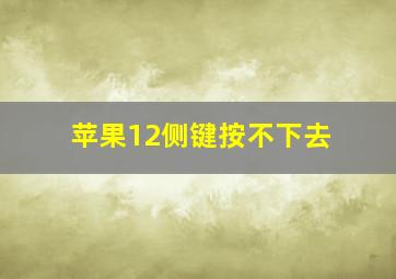 苹果12侧键按不下去