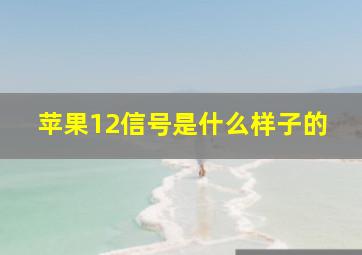 苹果12信号是什么样子的