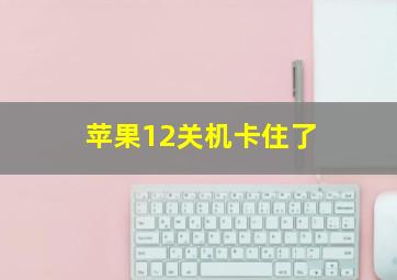 苹果12关机卡住了