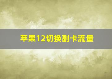 苹果12切换副卡流量