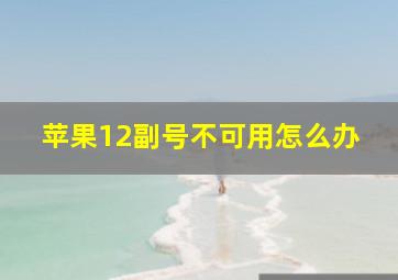 苹果12副号不可用怎么办