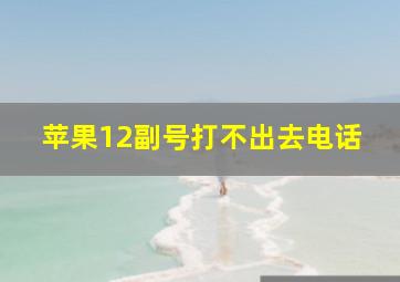 苹果12副号打不出去电话