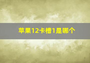 苹果12卡槽1是哪个