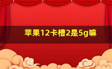 苹果12卡槽2是5g嘛