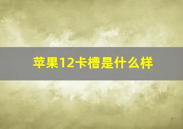 苹果12卡槽是什么样