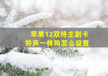 苹果12双待主副卡铃声一样吗怎么设置