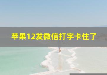 苹果12发微信打字卡住了