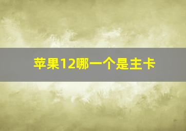 苹果12哪一个是主卡