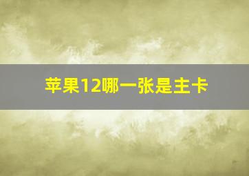 苹果12哪一张是主卡