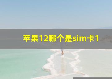 苹果12哪个是sim卡1