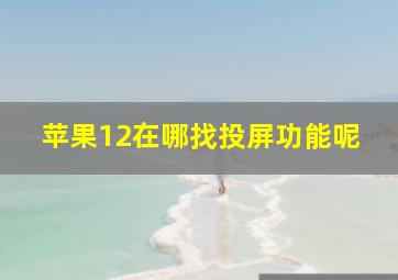 苹果12在哪找投屏功能呢