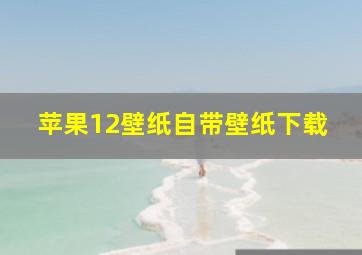 苹果12壁纸自带壁纸下载