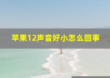 苹果12声音好小怎么回事