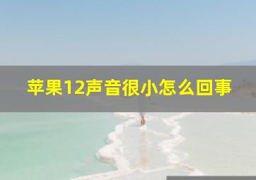 苹果12声音很小怎么回事