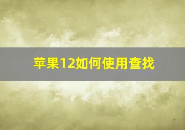 苹果12如何使用查找