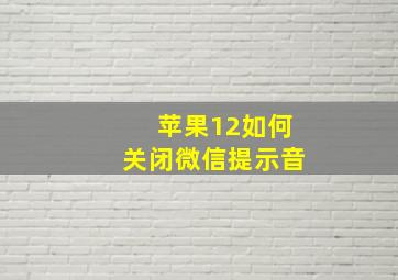 苹果12如何关闭微信提示音