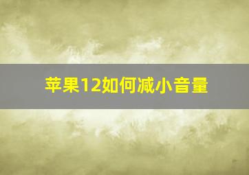 苹果12如何减小音量