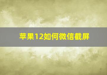 苹果12如何微信截屏