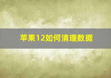 苹果12如何清理数据