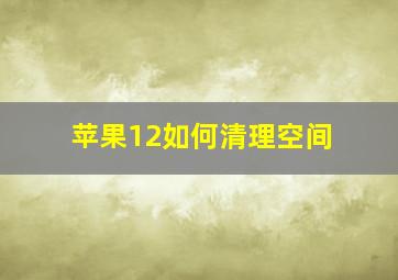 苹果12如何清理空间