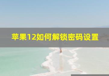 苹果12如何解锁密码设置