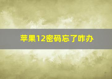 苹果12密码忘了咋办