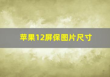 苹果12屏保图片尺寸