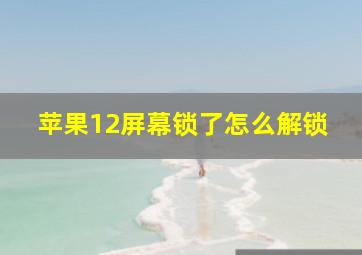 苹果12屏幕锁了怎么解锁