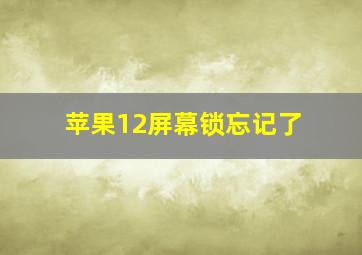 苹果12屏幕锁忘记了