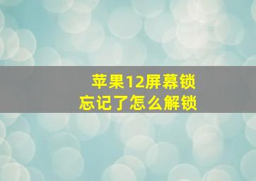 苹果12屏幕锁忘记了怎么解锁