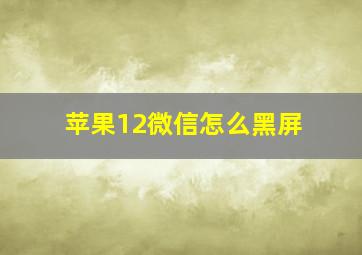 苹果12微信怎么黑屏