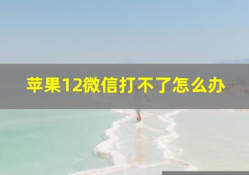 苹果12微信打不了怎么办