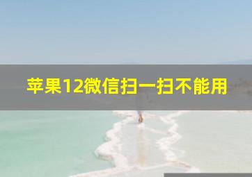 苹果12微信扫一扫不能用