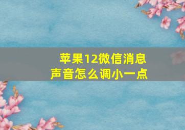 苹果12微信消息声音怎么调小一点