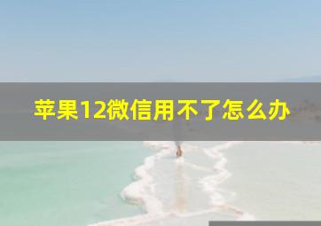 苹果12微信用不了怎么办