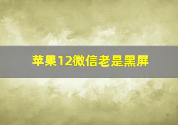 苹果12微信老是黑屏