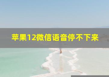 苹果12微信语音停不下来