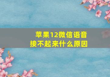 苹果12微信语音接不起来什么原因