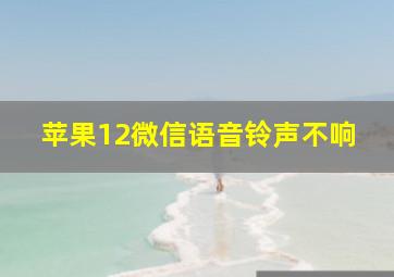 苹果12微信语音铃声不响