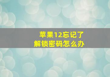 苹果12忘记了解锁密码怎么办