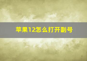 苹果12怎么打开副号